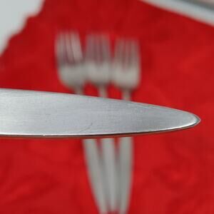 4X DF Oneida Oneidacraft Deluxe Stainless Wintersong Dinner Forks